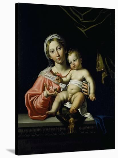 The Madonna Della Rosa, before 1627-Domenichino-Stretched Canvas