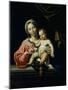 The Madonna Della Rosa, before 1627-Domenichino-Mounted Giclee Print