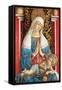 The Madonna Di Poggio Brette (Tempera on Panel)-Carlo Crivelli-Framed Stretched Canvas