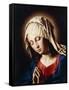 The Madonna in Prayer-null-Framed Stretched Canvas