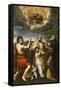 The Madonna of Loreto Appearing to St. John the Baptist, St. Eligius, and St. Anthony Abbot-Domenichino-Framed Stretched Canvas