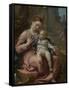 The Madonna of the Basket, Ca 1524-Correggio-Framed Stretched Canvas