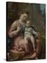 The Madonna of the Basket, Ca 1524-Correggio-Stretched Canvas