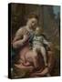 The Madonna of the Basket, Ca 1524-Correggio-Stretched Canvas