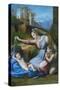 The Madonna of the Blue Diadem by Raphael-null-Stretched Canvas