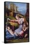 The Madonna of the Blue Diadem or the Madonna of the Veil-Raphael-Framed Stretched Canvas