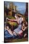 The Madonna of the Blue Diadem or the Madonna of the Veil-Raphael-Stretched Canvas