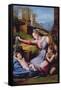 The Madonna of the Blue Diadem or the Madonna of the Veil-Raphael-Framed Stretched Canvas