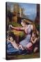 The Madonna of the Blue Diadem or the Madonna of the Veil-Raphael-Stretched Canvas