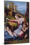 The Madonna of the Blue Diadem or the Madonna of the Veil-Raphael-Mounted Giclee Print