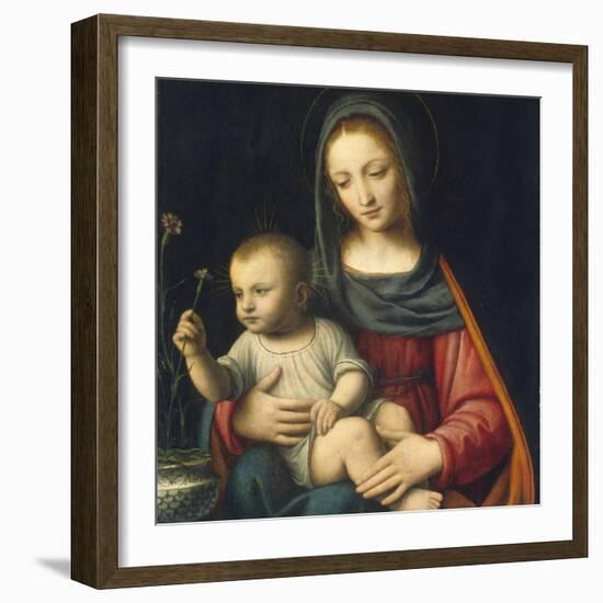 The Madonna of the Carnation, C.1515-Bernardino Luini-Framed Giclee Print