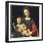 The Madonna of the Carnation, C.1515-Bernardino Luini-Framed Giclee Print