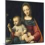 The Madonna of the Carnation, C.1515-Bernardino Luini-Mounted Giclee Print