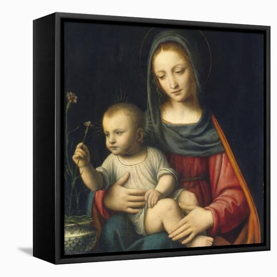 The Madonna of the Carnation, C.1515-Bernardino Luini-Framed Stretched Canvas