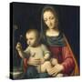 The Madonna of the Carnation, C.1515-Bernardino Luini-Stretched Canvas