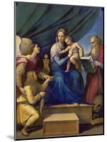 The Madonna of the Fish (The Madonna with the Archangel Raphael, Tobias and St, Jerome), C. 1513-Raffael-Mounted Giclee Print