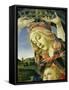 The Madonna of the Magnificat, C.1465-Sandro Botticelli-Framed Stretched Canvas