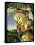 The Madonna of the Magnificat, C.1465-Sandro Botticelli-Framed Stretched Canvas