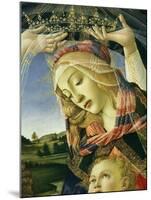 The Madonna of the Magnificat, C.1465-Sandro Botticelli-Mounted Giclee Print