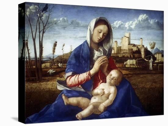 The Madonna of the Meadow, C1500-Giovanni Bellini-Stretched Canvas
