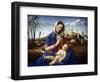 The Madonna of the Meadow, C1500-Giovanni Bellini-Framed Premium Giclee Print