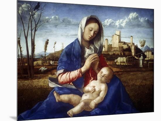 The Madonna of the Meadow, C1500-Giovanni Bellini-Mounted Giclee Print