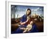 The Madonna of the Meadow, C1500-Giovanni Bellini-Framed Giclee Print