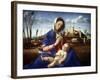 The Madonna of the Meadow, C1500-Giovanni Bellini-Framed Giclee Print