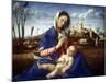 The Madonna of the Meadow, C1500-Giovanni Bellini-Mounted Giclee Print