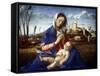 The Madonna of the Meadow, C1500-Giovanni Bellini-Framed Stretched Canvas