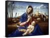 The Madonna of the Meadow, C1500-Giovanni Bellini-Framed Stretched Canvas