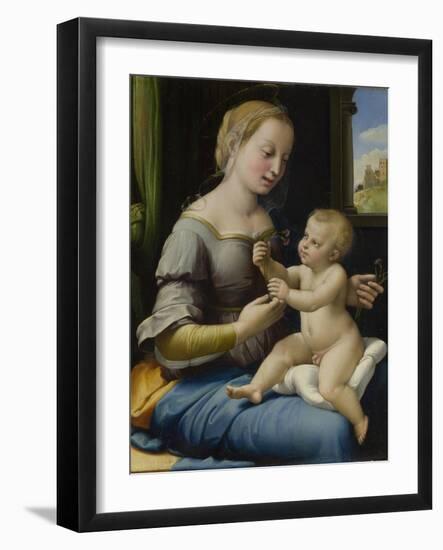 The Madonna of the Pinks (La Madonna Dei Garofan), Ca 1506-1507-Raphael-Framed Giclee Print