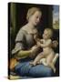 The Madonna of the Pinks (La Madonna Dei Garofan), Ca 1506-1507-Raphael-Stretched Canvas