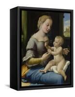 The Madonna of the Pinks (La Madonna Dei Garofan), Ca 1506-1507-Raphael-Framed Stretched Canvas