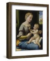 The Madonna of the Pinks (La Madonna Dei Garofan), Ca 1506-1507-Raphael-Framed Giclee Print