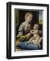 The Madonna of the Pinks (La Madonna Dei Garofan), Ca 1506-1507-Raphael-Framed Giclee Print