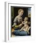 The Madonna of the Pinks (La Madonna Dei Garofan), Ca 1506-1507-Raphael-Framed Giclee Print