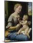 The Madonna of the Pinks (La Madonna Dei Garofan), Ca 1506-1507-Raphael-Mounted Giclee Print