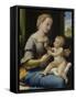 The Madonna of the Pinks (La Madonna Dei Garofan), Ca 1506-1507-Raphael-Framed Stretched Canvas