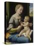 The Madonna of the Pinks (La Madonna Dei Garofan), Ca 1506-1507-Raphael-Stretched Canvas