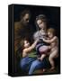 The Madonna of the Rose (Madonna Della Ros), C. 1520-Raphael-Framed Stretched Canvas