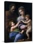 The Madonna of the Rose (Madonna Della Ros), C. 1520-Raphael-Stretched Canvas