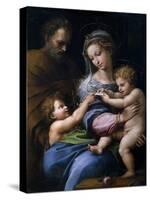 The Madonna of the Rose (Madonna Della Ros), C. 1520-Raphael-Stretched Canvas