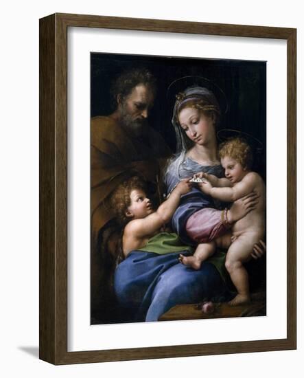 The Madonna of the Rose (Madonna Della Ros), C. 1520-Raphael-Framed Giclee Print