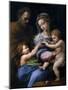 The Madonna of the Rose (Madonna Della Ros), C. 1520-Raphael-Mounted Giclee Print