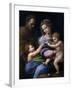 The Madonna of the Rose (Madonna Della Ros), C. 1520-Raphael-Framed Giclee Print