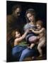 The Madonna of the Rose (Madonna Della Ros), C. 1520-Raphael-Mounted Giclee Print