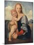 'The Madonna of the Tower', 1509-1511, (c1912)-Raphael-Mounted Giclee Print