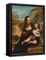 The Madonna of the Yarnwinder-Leonardo da Vinci-Framed Stretched Canvas