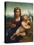 The Madonna of the Yarnwinder-Leonardo de Vinci (Follower of)-Stretched Canvas